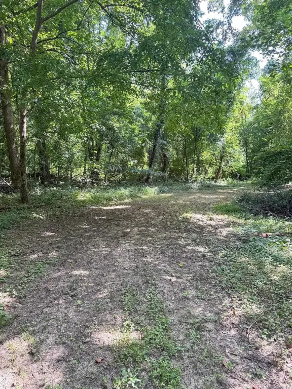 Picture 41