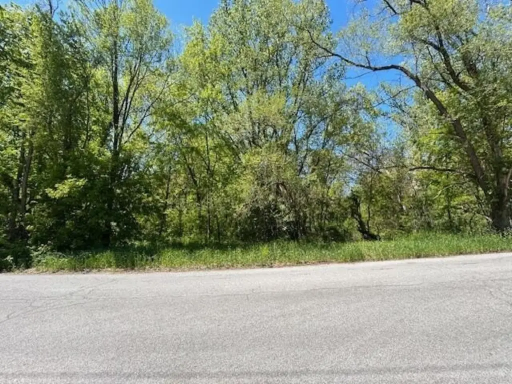 Picture 4