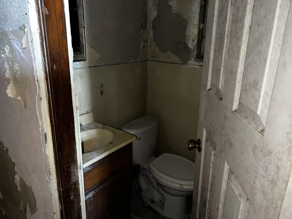 Picture 11