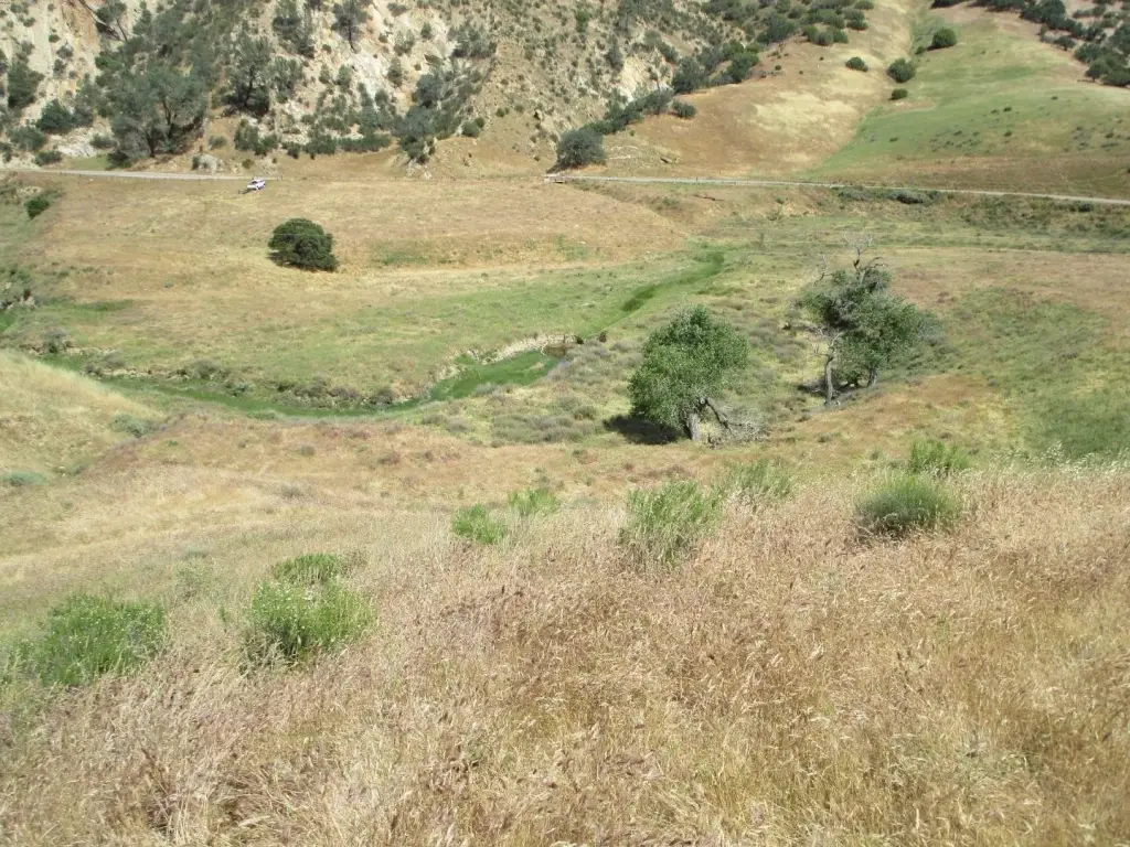 Picture 8