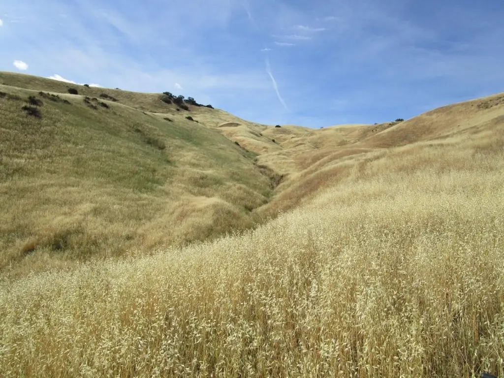 Picture 15