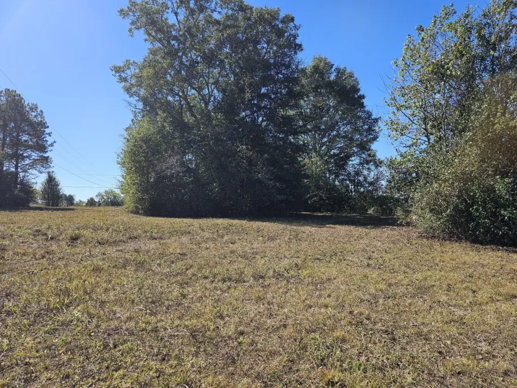 Picture 45