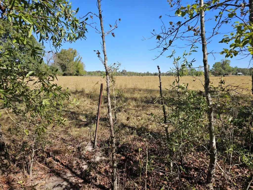 Picture 48