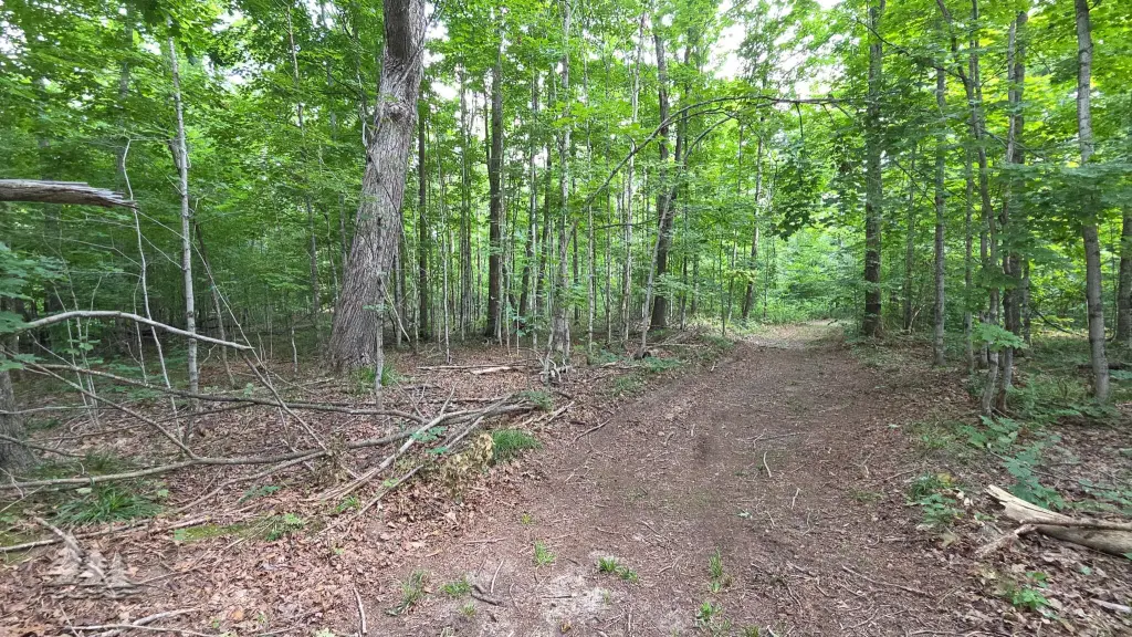 Picture 17