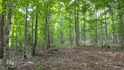 Recreational Land Parcel