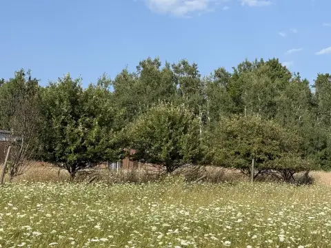 Hunting Land with Pole Barn