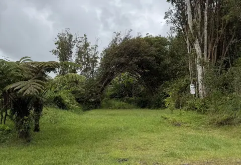 Lush Vacant Lot in Volcano