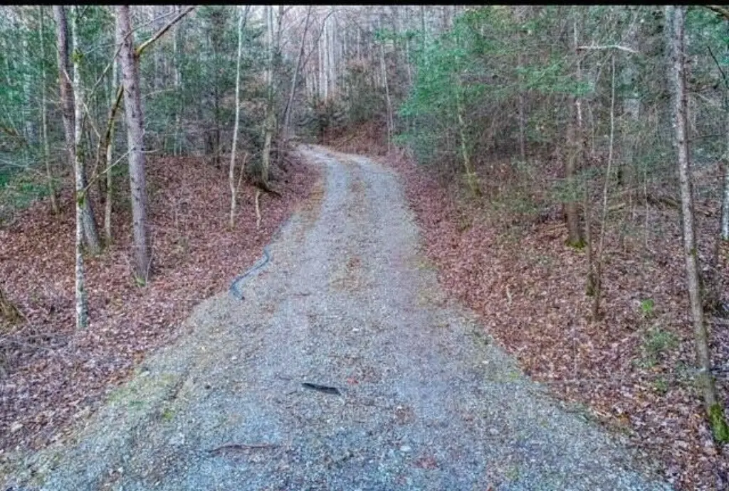 Picture 5