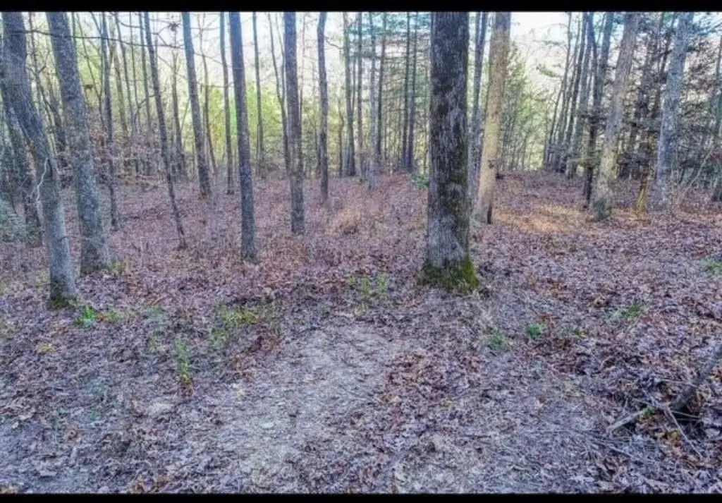 Picture 12
