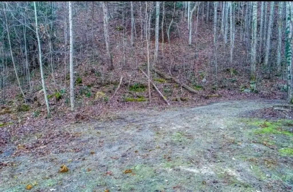 Picture 14