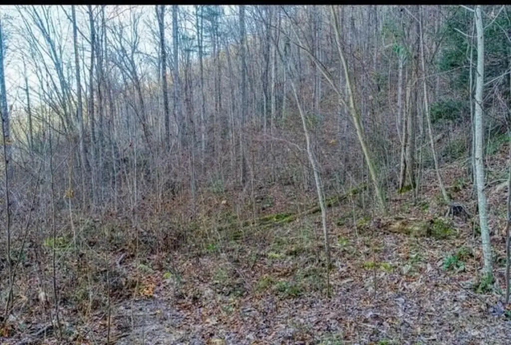 Picture 19