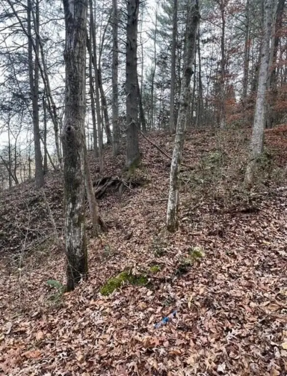 Picture 16