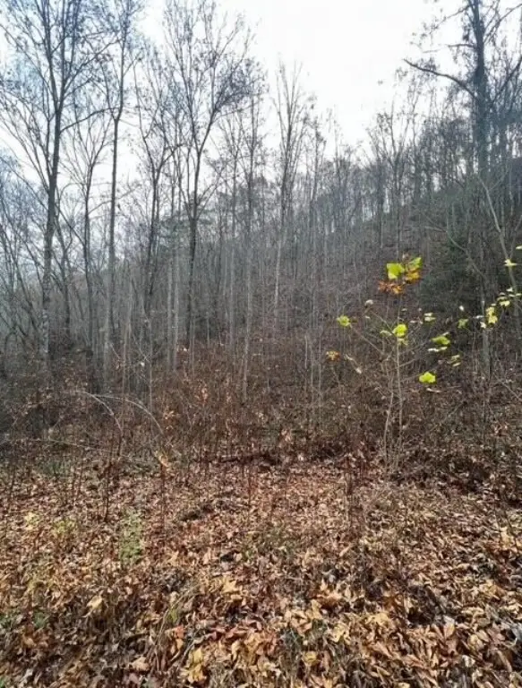 Picture 17