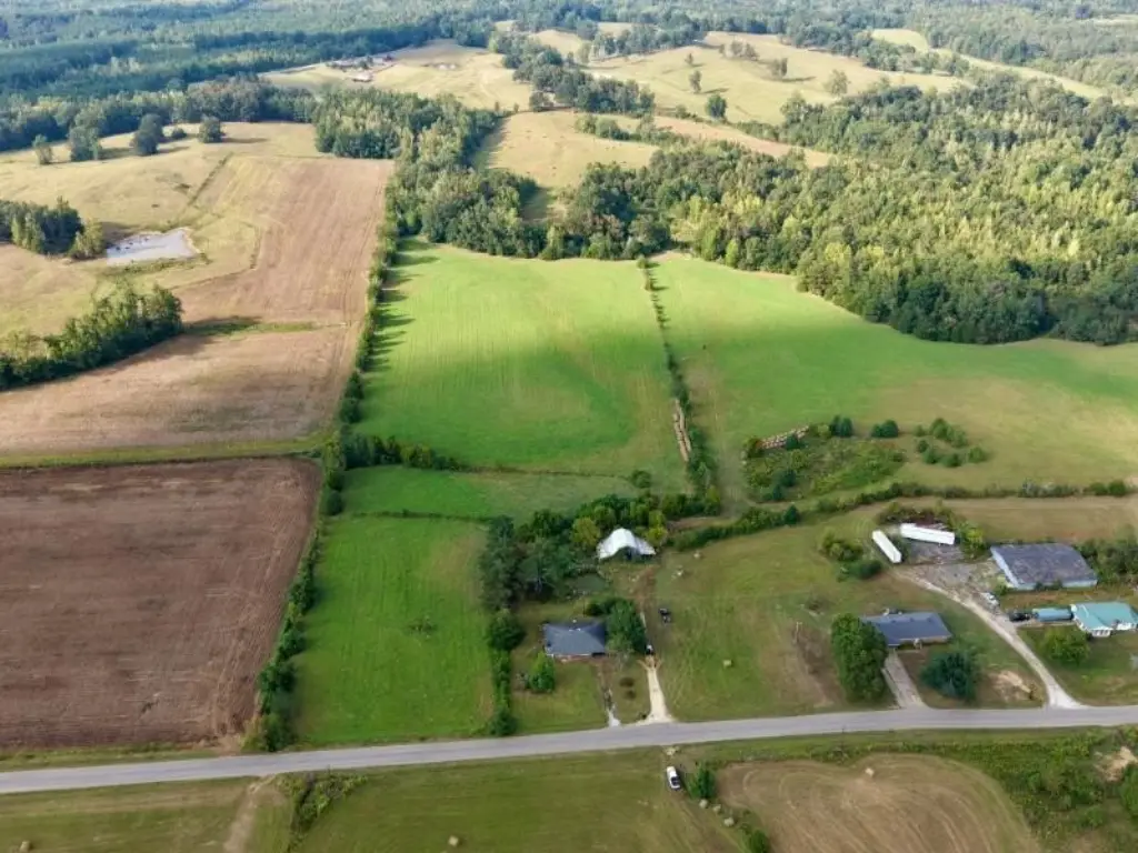 Picture 15