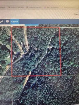 20 Acres of Land