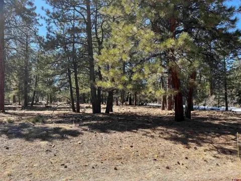 Residential Lot in Fairway Pines