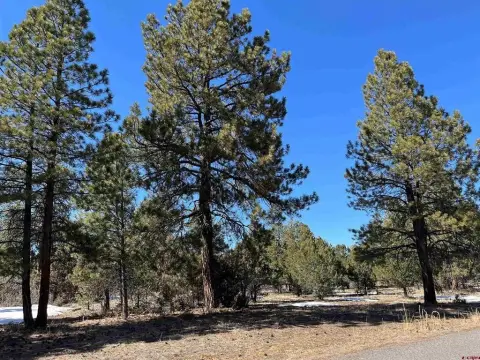 Residential Lot in Fairway Pines
