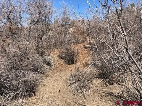 Pagosa Springs Residential Land