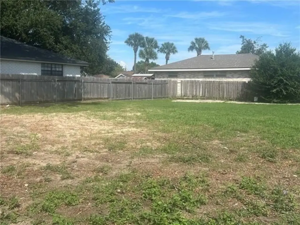 Picture 6