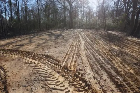 Secluded Wooded Land Tract