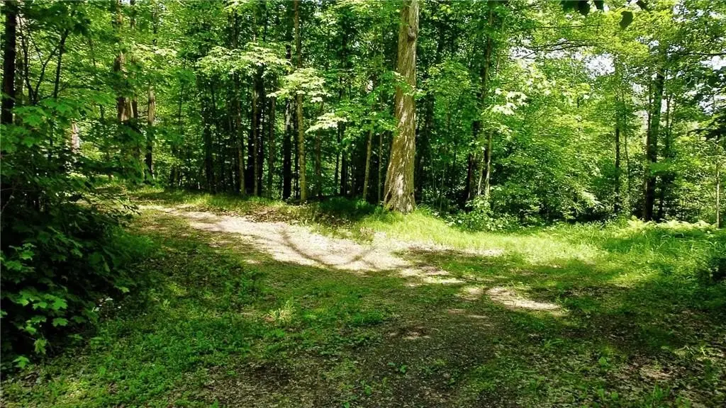 Picture 17