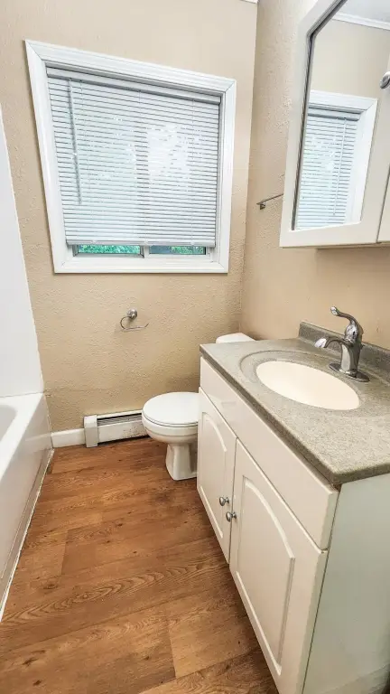 Picture 25