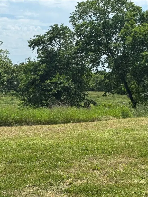 Picture 5