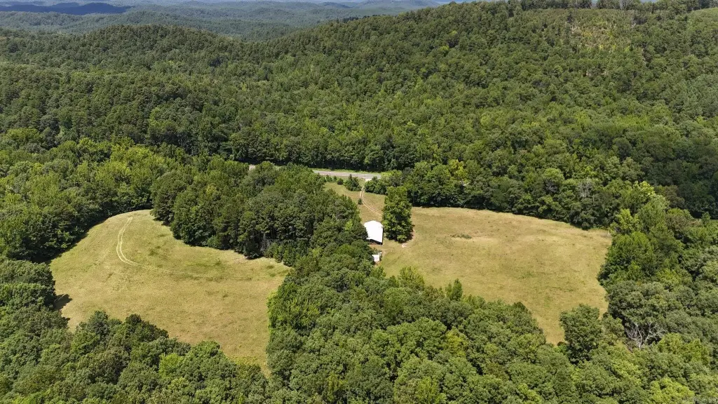 Picture 25