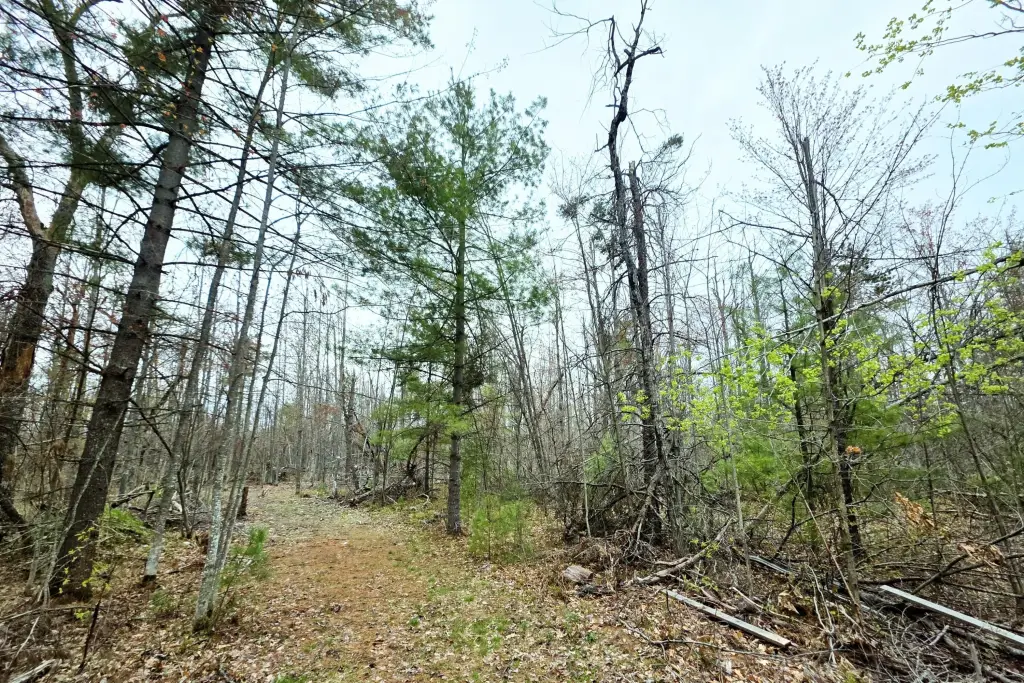 Picture 6