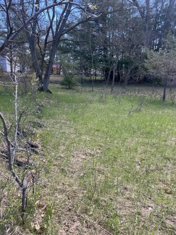 Picture 10