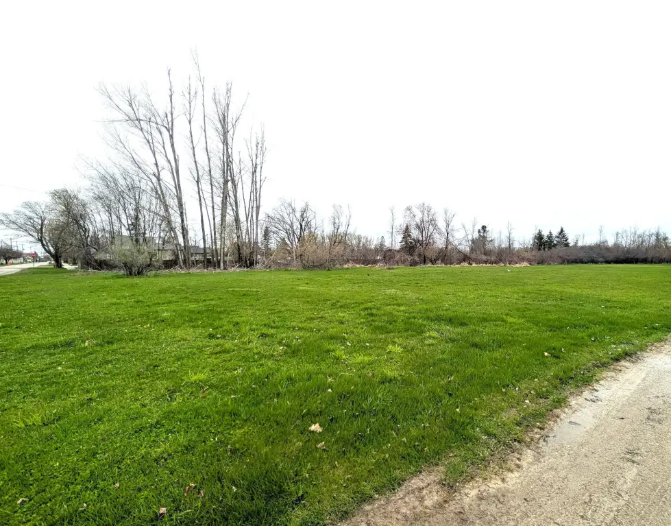 Picture 4