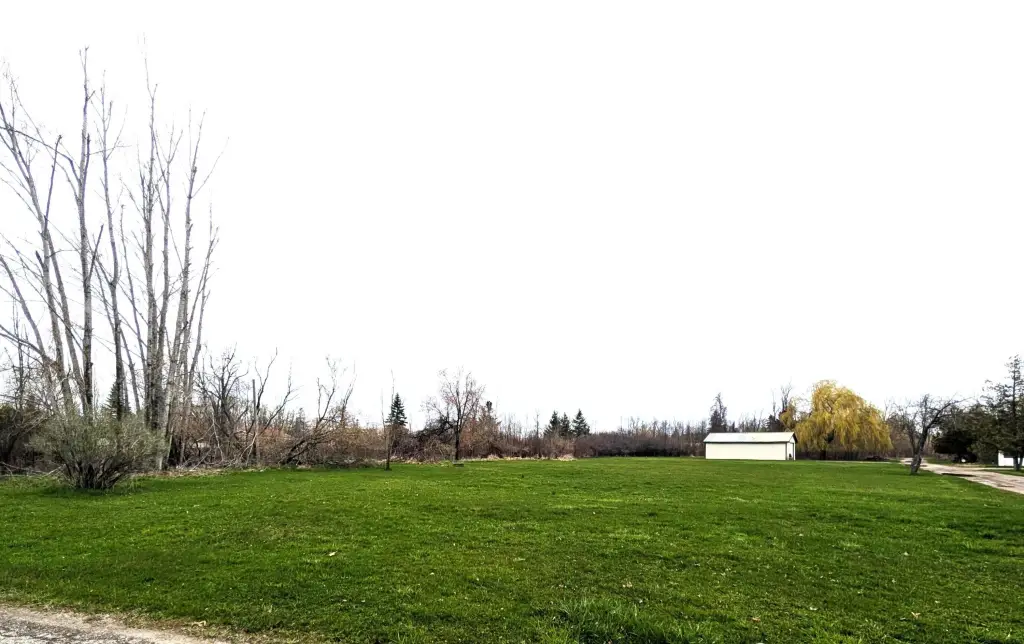 Picture 3
