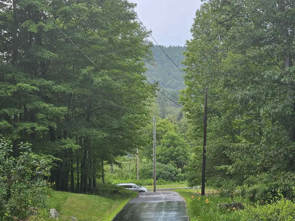 Picture 8