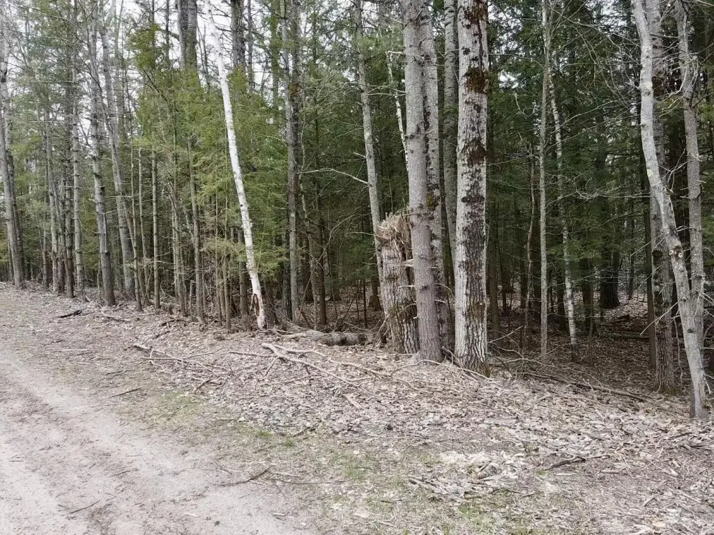Picture 3