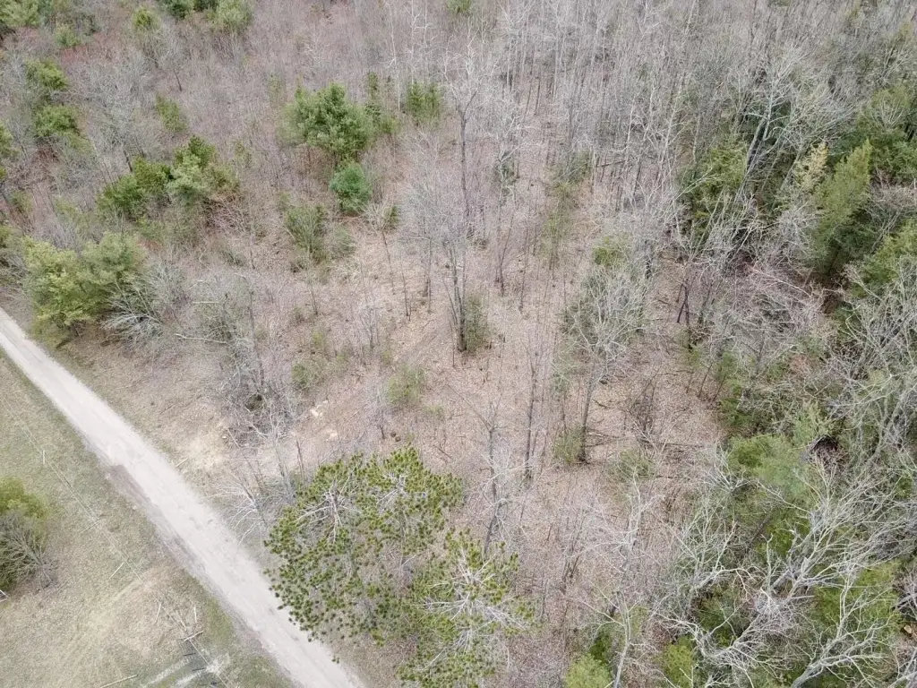 Picture 4