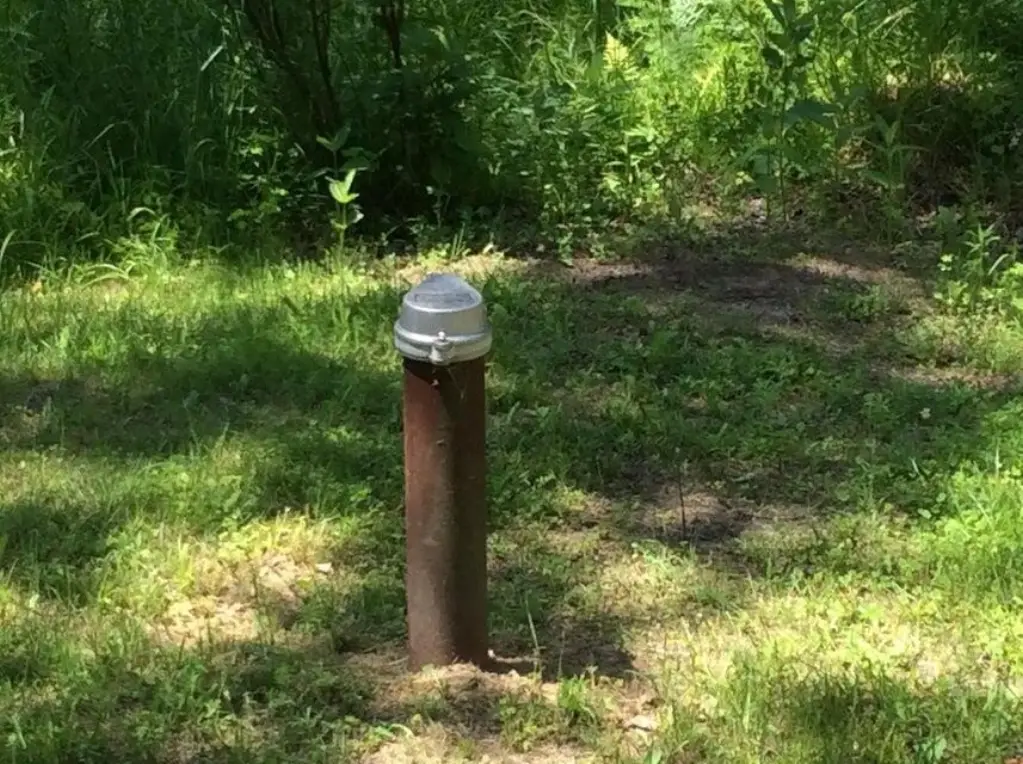 Picture 4