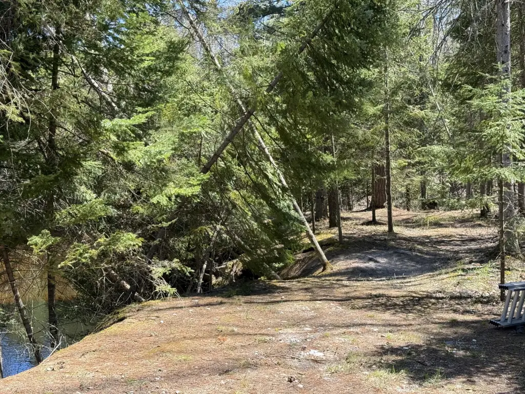 Picture 18