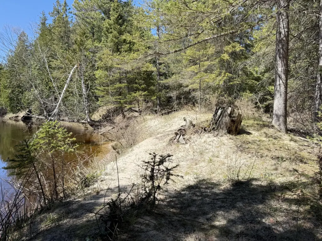 Picture 11