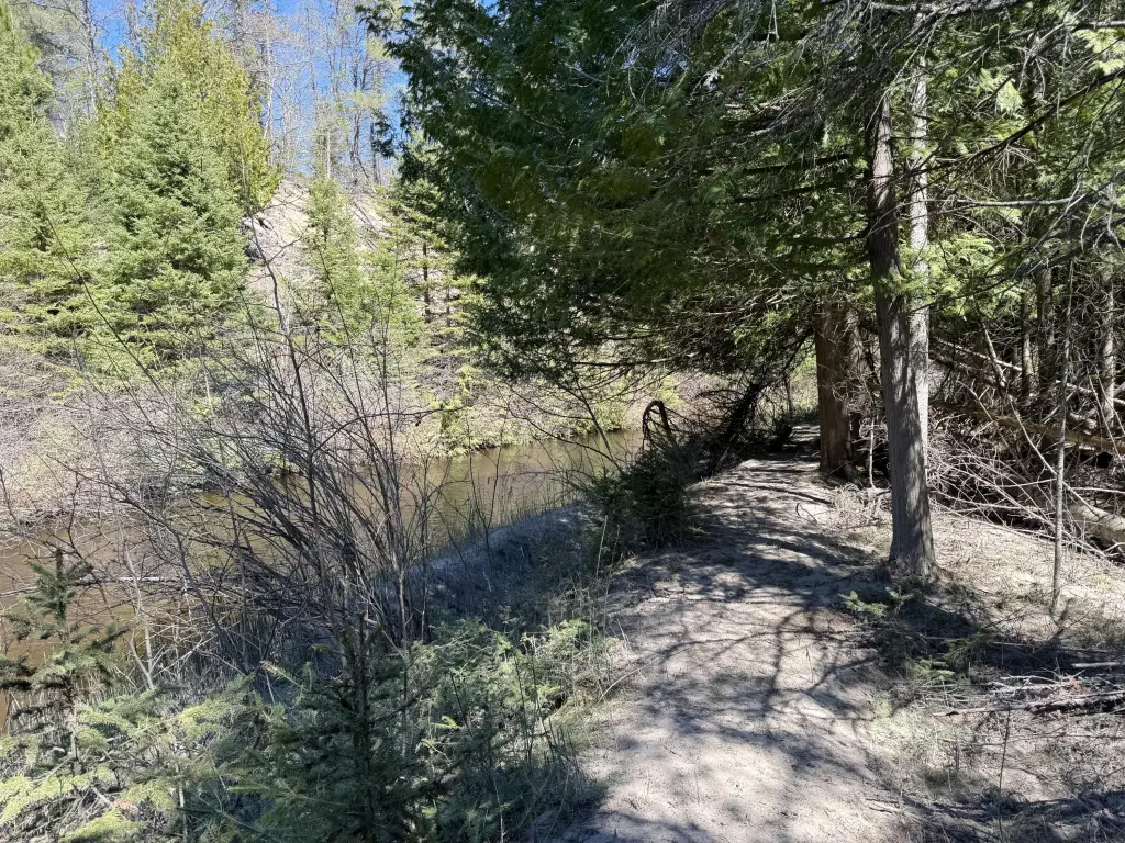 Picture 6