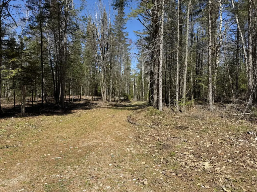 Picture 30