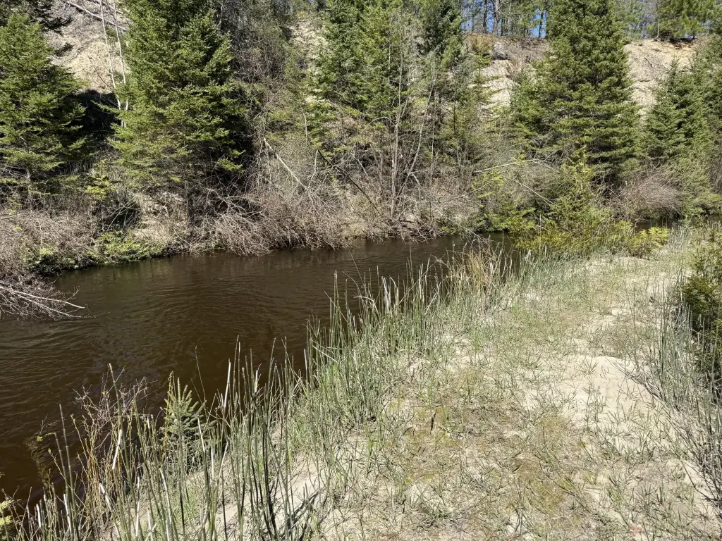 Picture 7