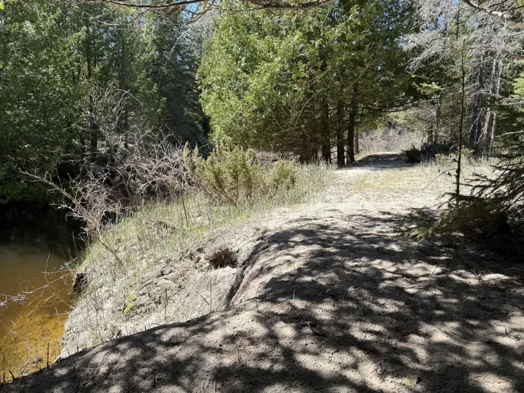 Picture 10