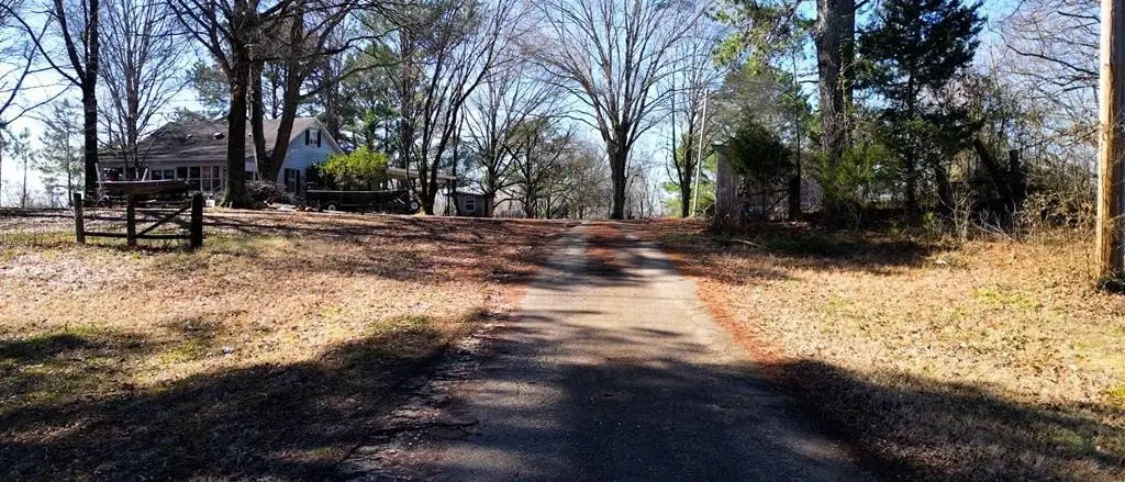 Picture 43