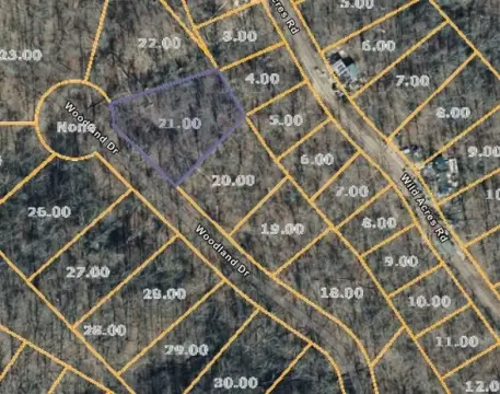 Undeveloped Land in Holladay, TN