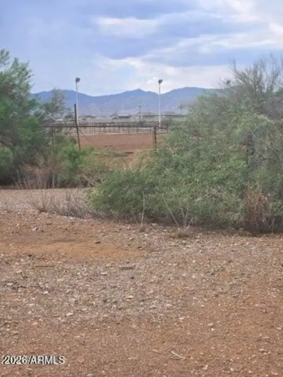 Picture 13