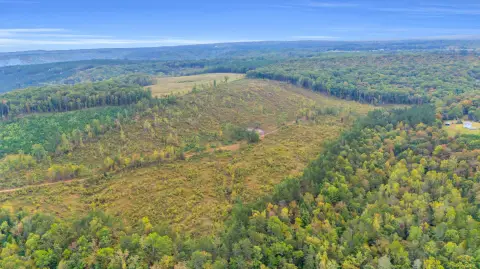 64 Acres on Mowbray Mountain