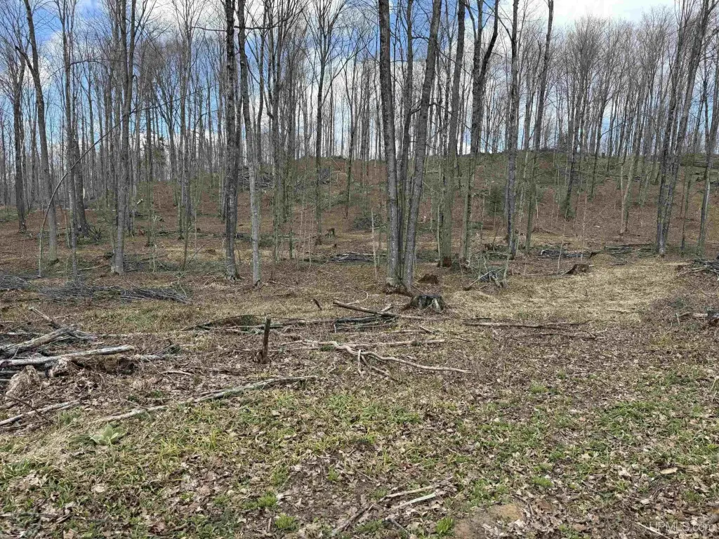 Picture 17