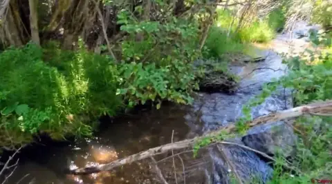 South Fork Land with Creeks