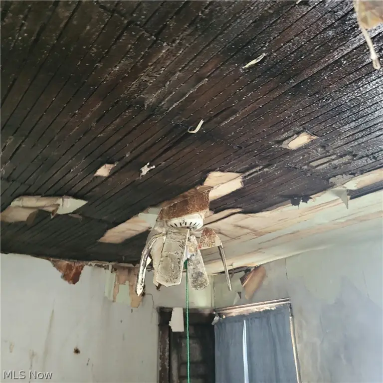 Picture 14