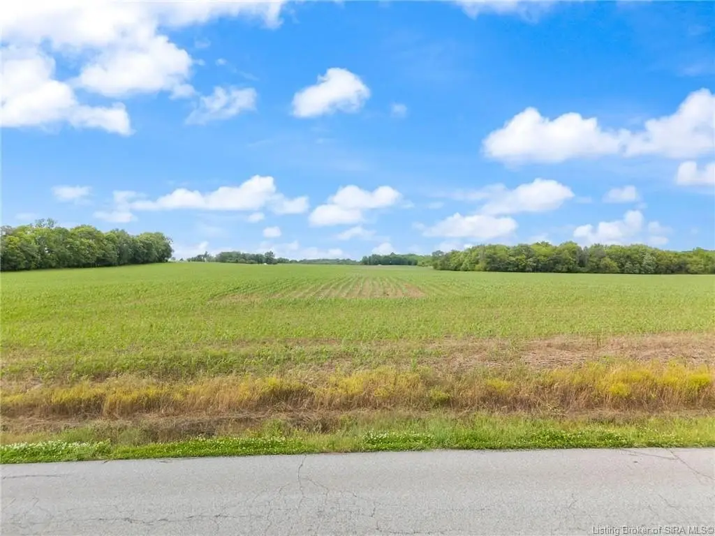 Picture 23